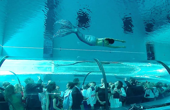 y_40_inaugurazione_2014