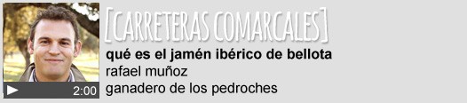 Conoce carreteras comarcales, una serie de Rentalia