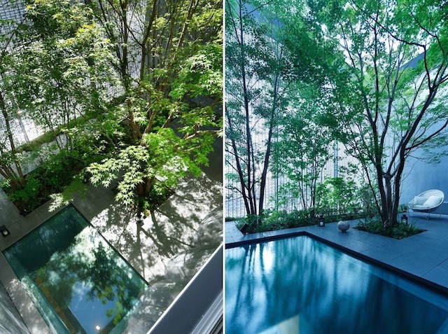 casa_ensueno_-dia8enero