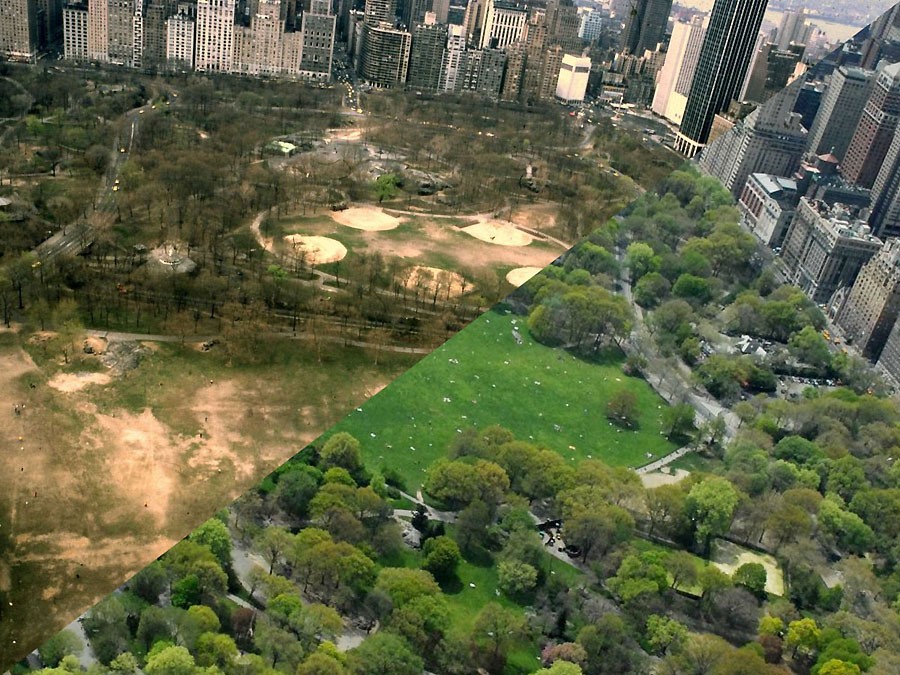 Así ha cambiado Central Park desde los violentos años 80 hasta nuestros días (fotos)