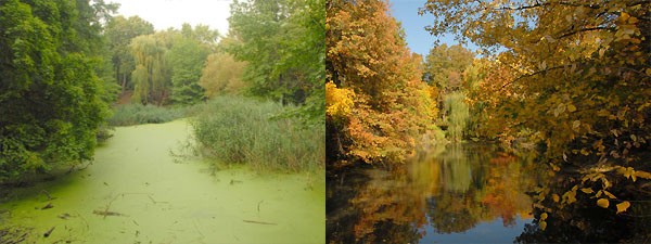 central_park_04