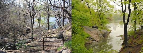 central_park_12