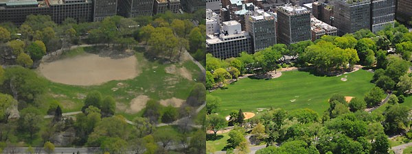 central_park_14
