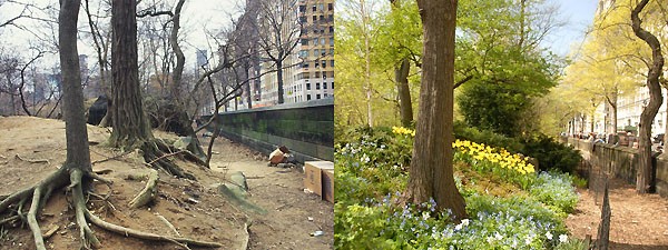 central_park_17