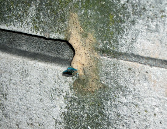 dead_drops_08