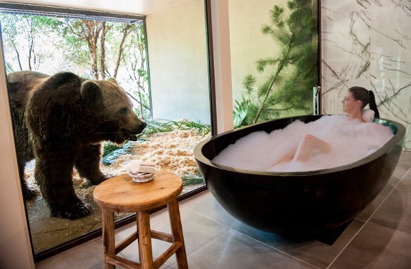 Hoteles con encanto: un oso en la habitación y un León en la cena (fotos)