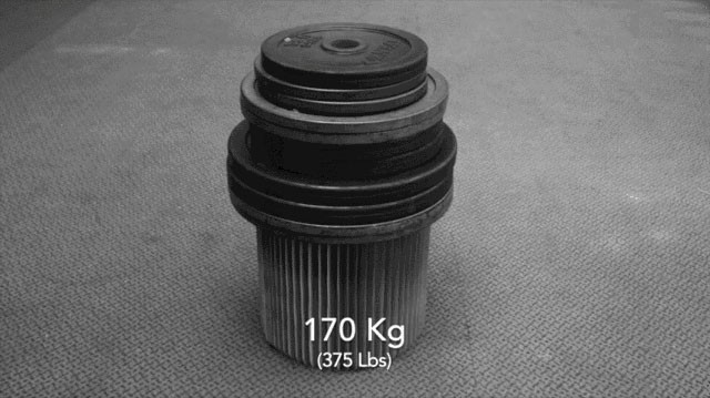 Ideas de decoración: muebles de cartón que se guardan como un libro para no ocupar espacio (fotos)