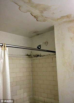 hotel_carter_ducha