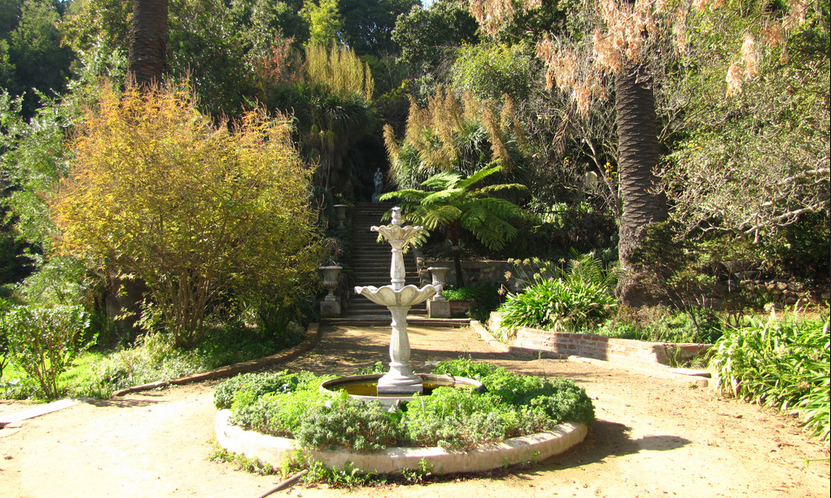 jardin