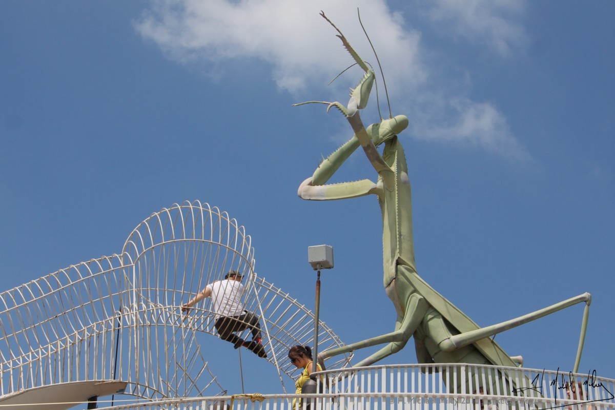 4934334286_beecc2bb34_o