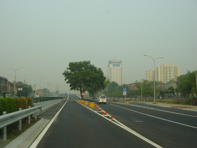 arboles_china_08