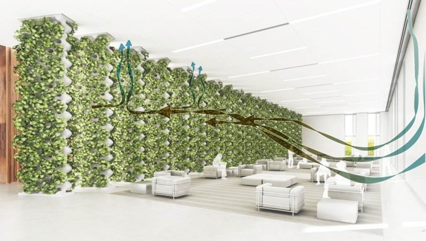 Los edificios del futuro harán que estés más sano gracias a las bacterias