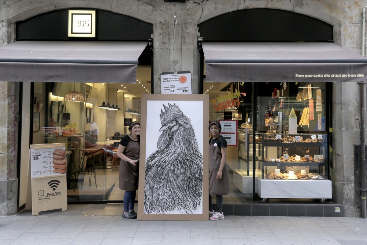 gallo_street_gallery_patinunezagency