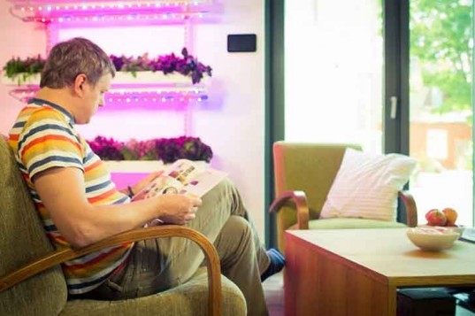 Ideas de decoración: cómo plantar un ‘huerto inteligente’ en una casa pequeña y sin terraza