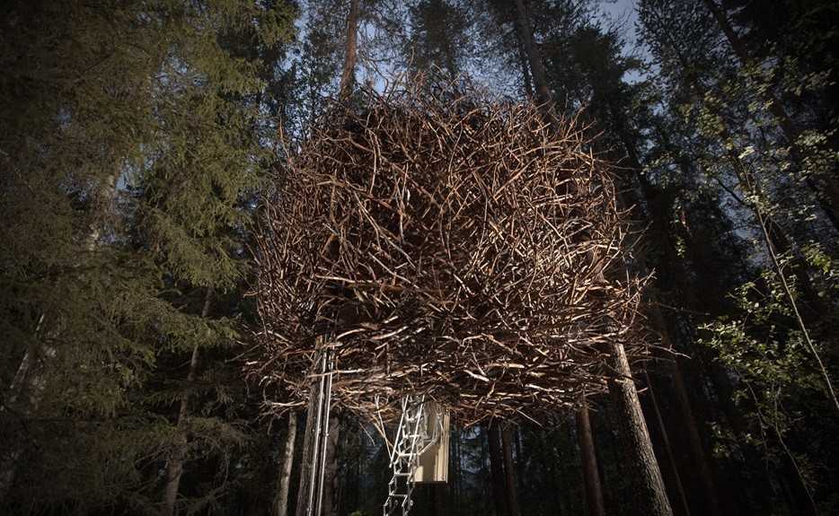 10 casas instaladas en los árboles que harían las delicias de Tarzán