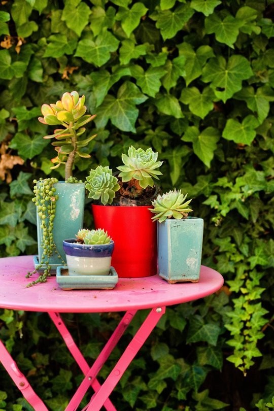 Ideas de decoración: cómo tener listo para fiestas el jardín de la casa en 5 pasos