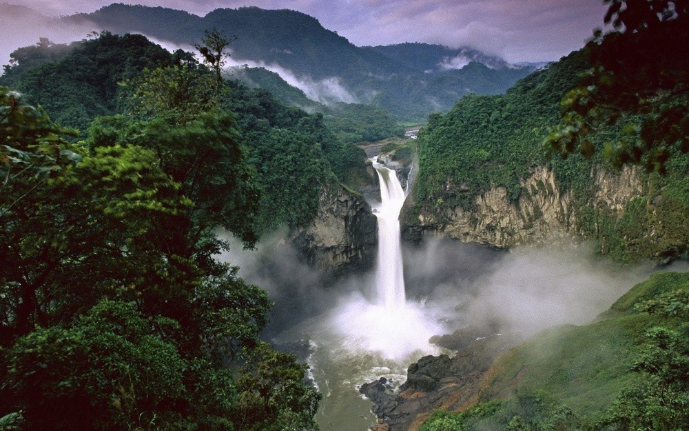 bosque-lluvioso-amazonas