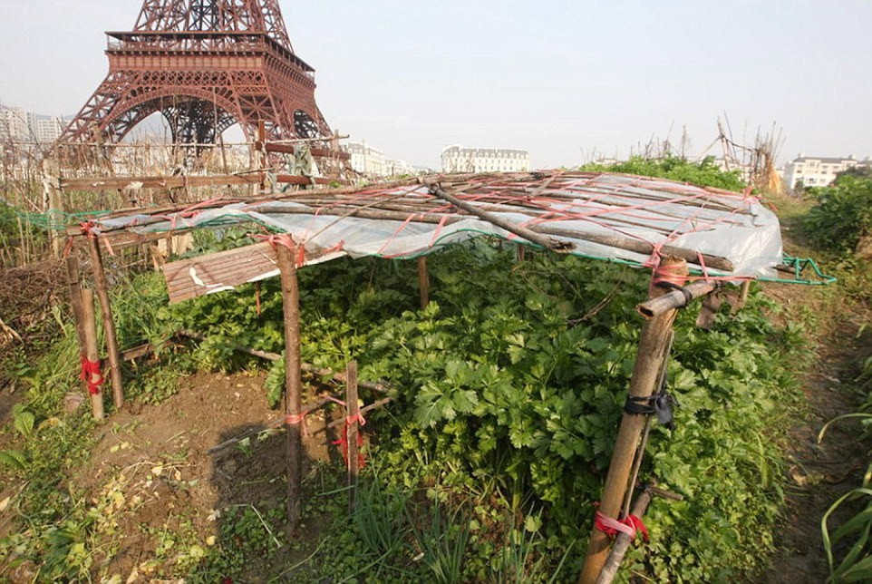 mini_paris_05