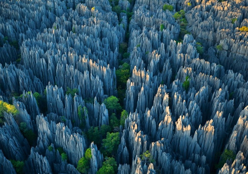 tsingy-bemaraha-bosque-rocas2-madagascar