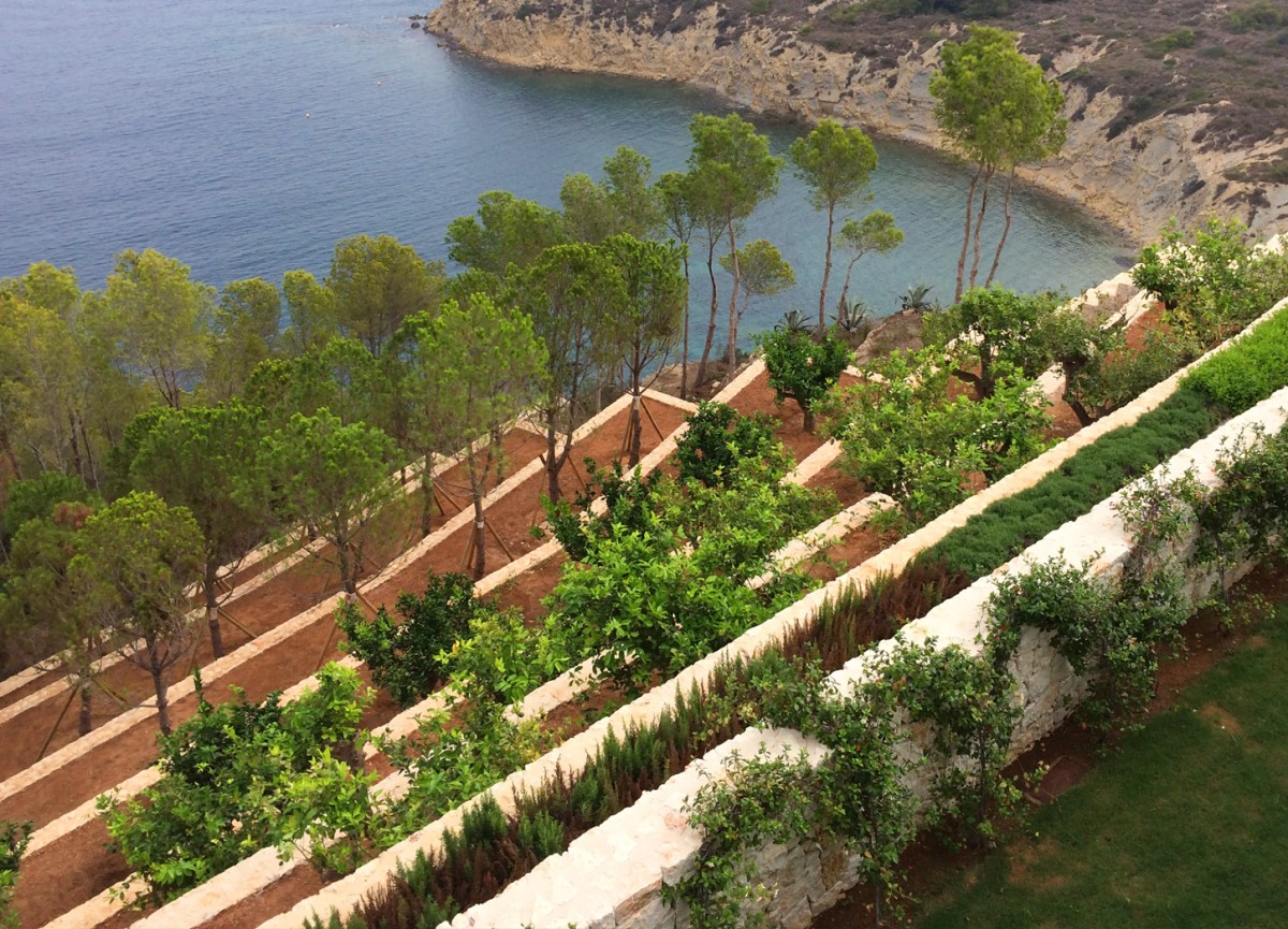 jardin-casa-mediterranea