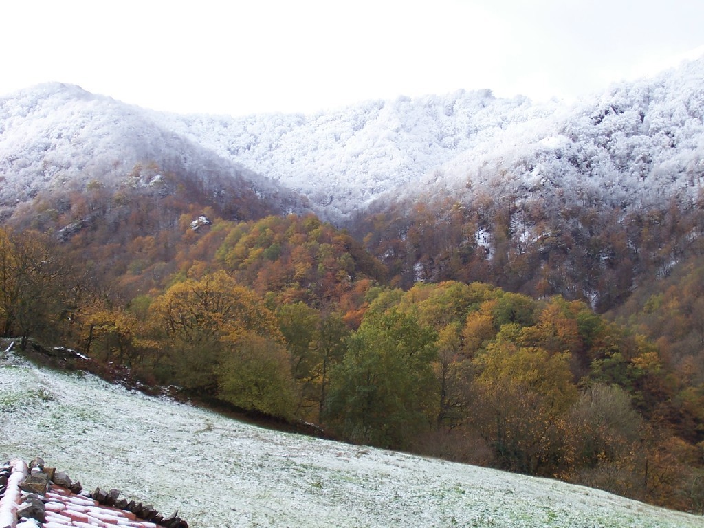 Nieve en otoño en el bosque de Bértiz Navarra