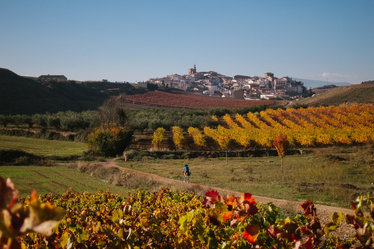 Camino de Santiago Francés Puente la Reina - Estella en Navarra