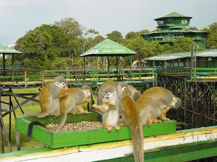 hotel_amazonas_04