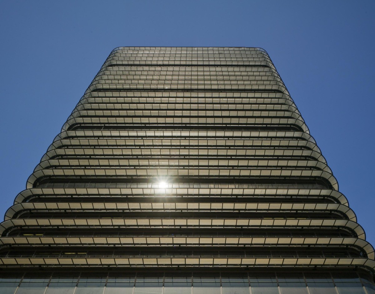 castellana81_frontal
