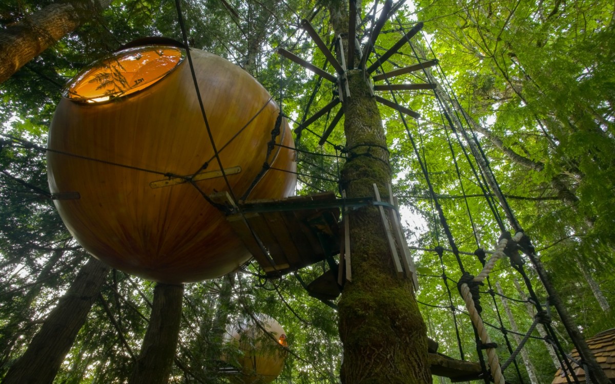 El hotel para dormir sobre un árbol como los Ewoks