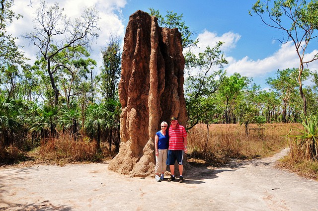 Un termitero gigante