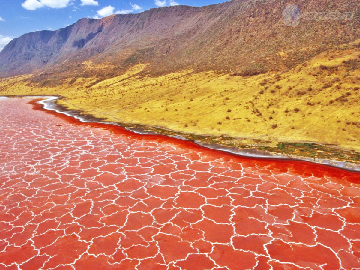 El lago Natron en Tanzania