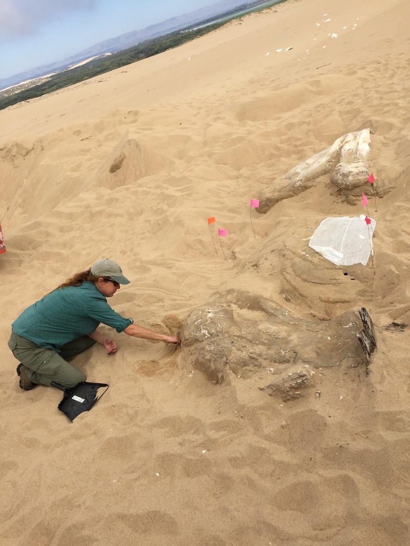 ‘Ciudad de Faraones’: la falsa ciudad egipcia escondida bajo las dunas de California