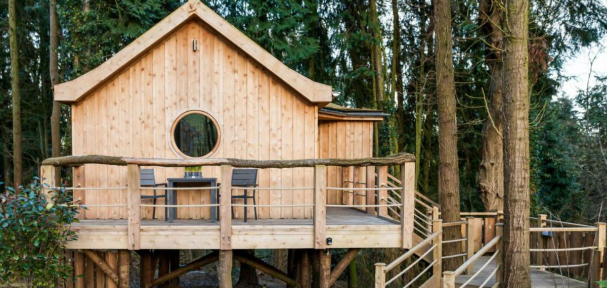 Casa inspirada en los nidos de pájaros