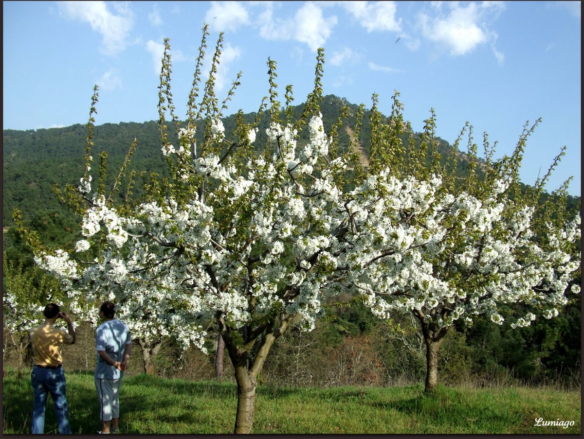 5 escapadas para la primavera por España