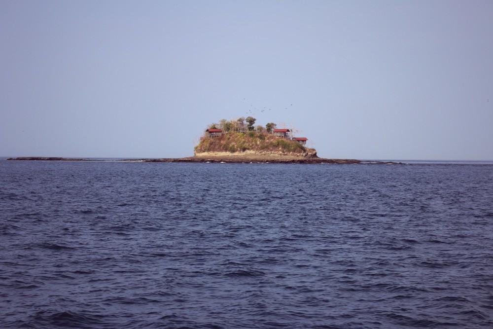 contadora_02