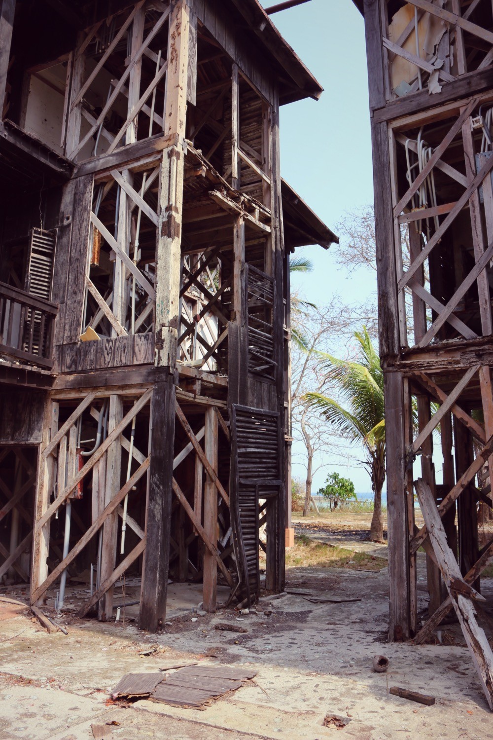 contadora_06
