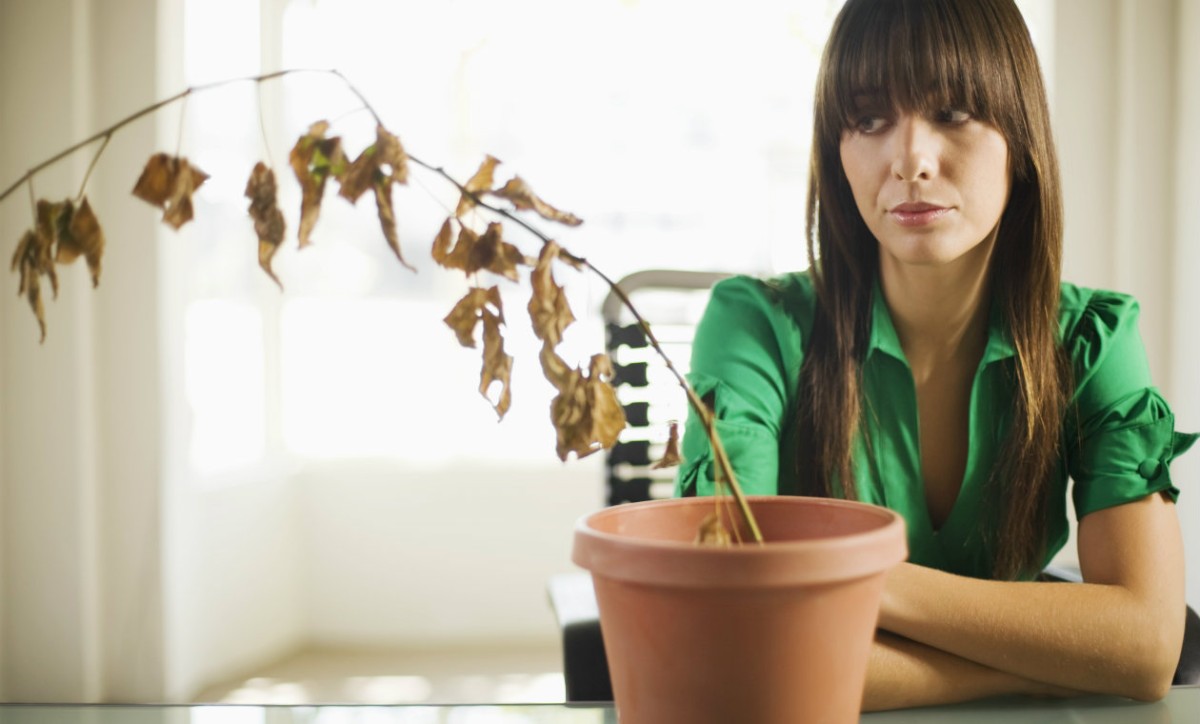 No seas cutre, invierte en estas 6 reformas si quieres que te quiten el piso de las manos
