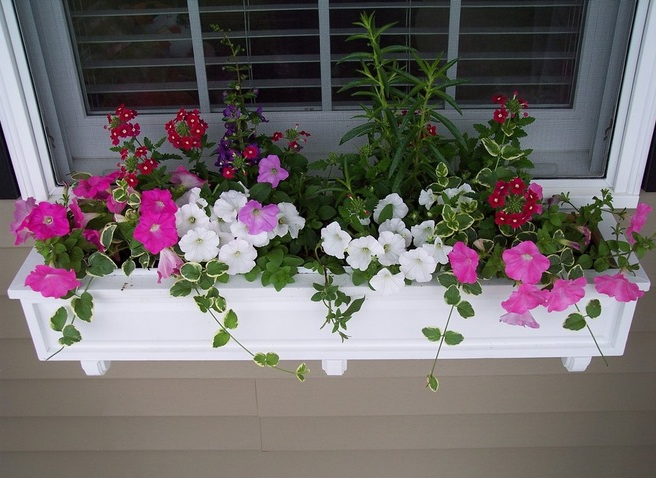 jardineras_01