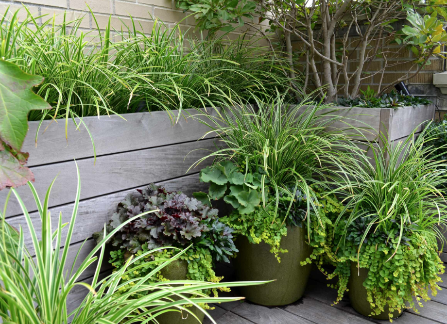 jardineras_02