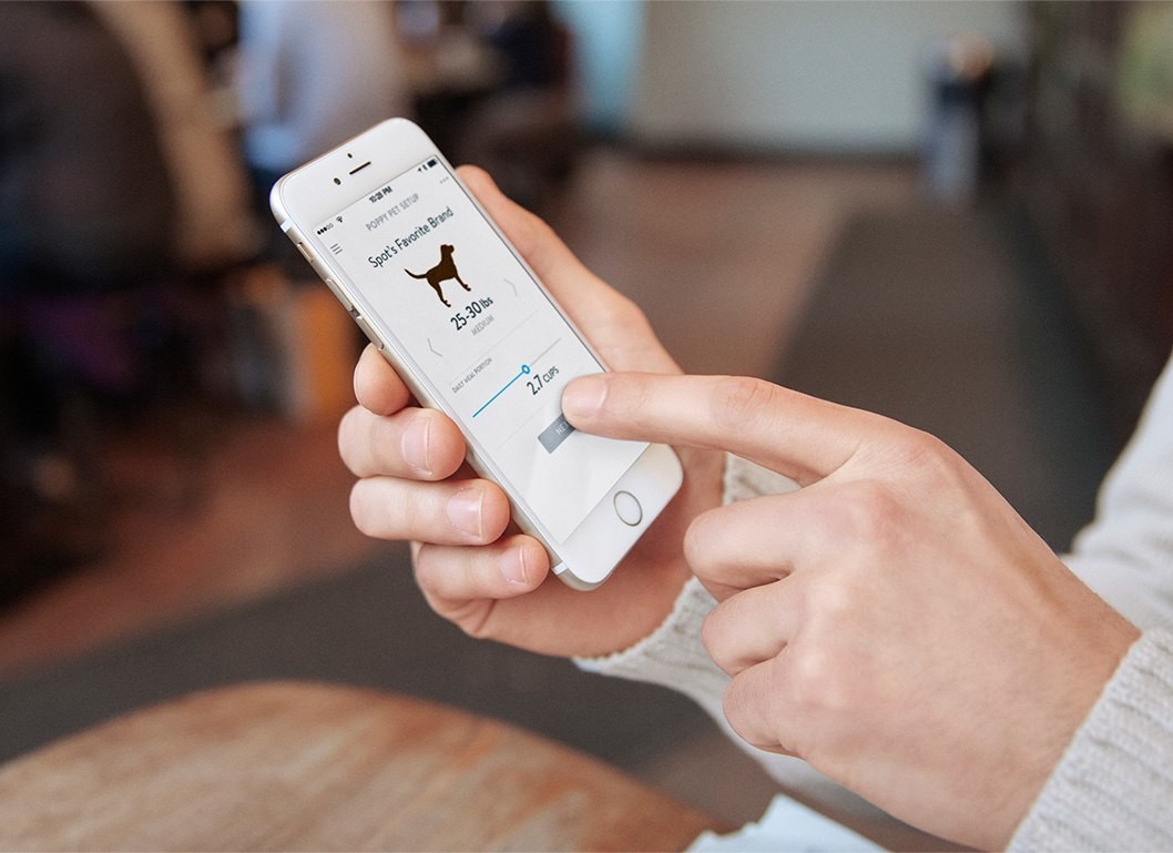Seis apps para vigilar y controlar todo lo que pasa en tu casa desde la playa