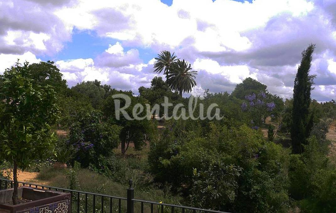 casa-ensueno-hacienda-cadiz6