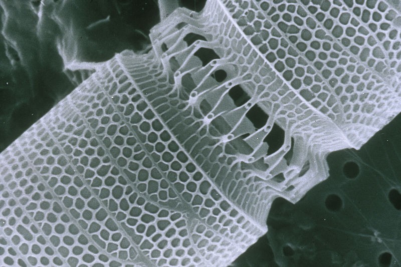 Nanotecnología de andar por casa: hay más ciencia en tu hogar de lo que creías