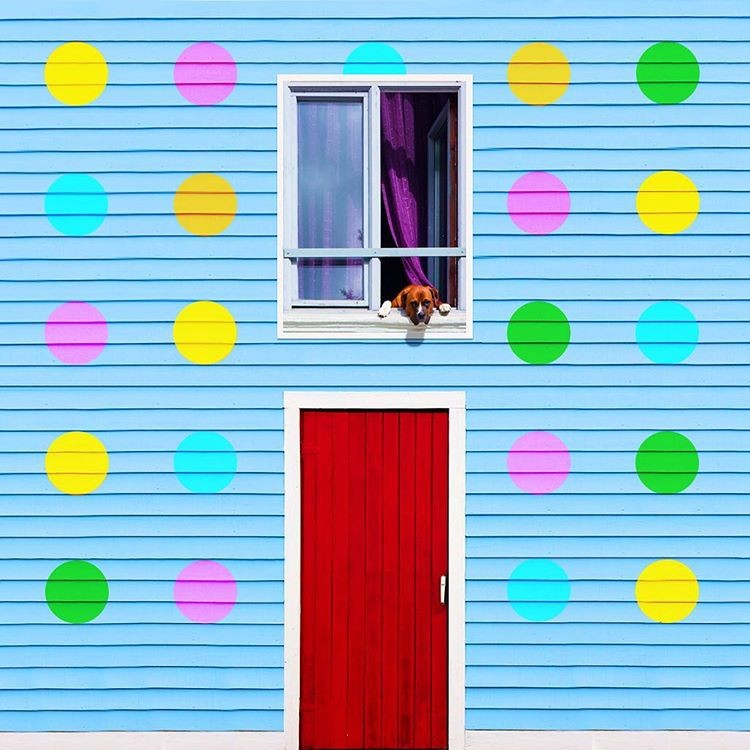 El ‘cazador de colores’ que se dedica a fotografiar las fachadas más llamativas de Europa