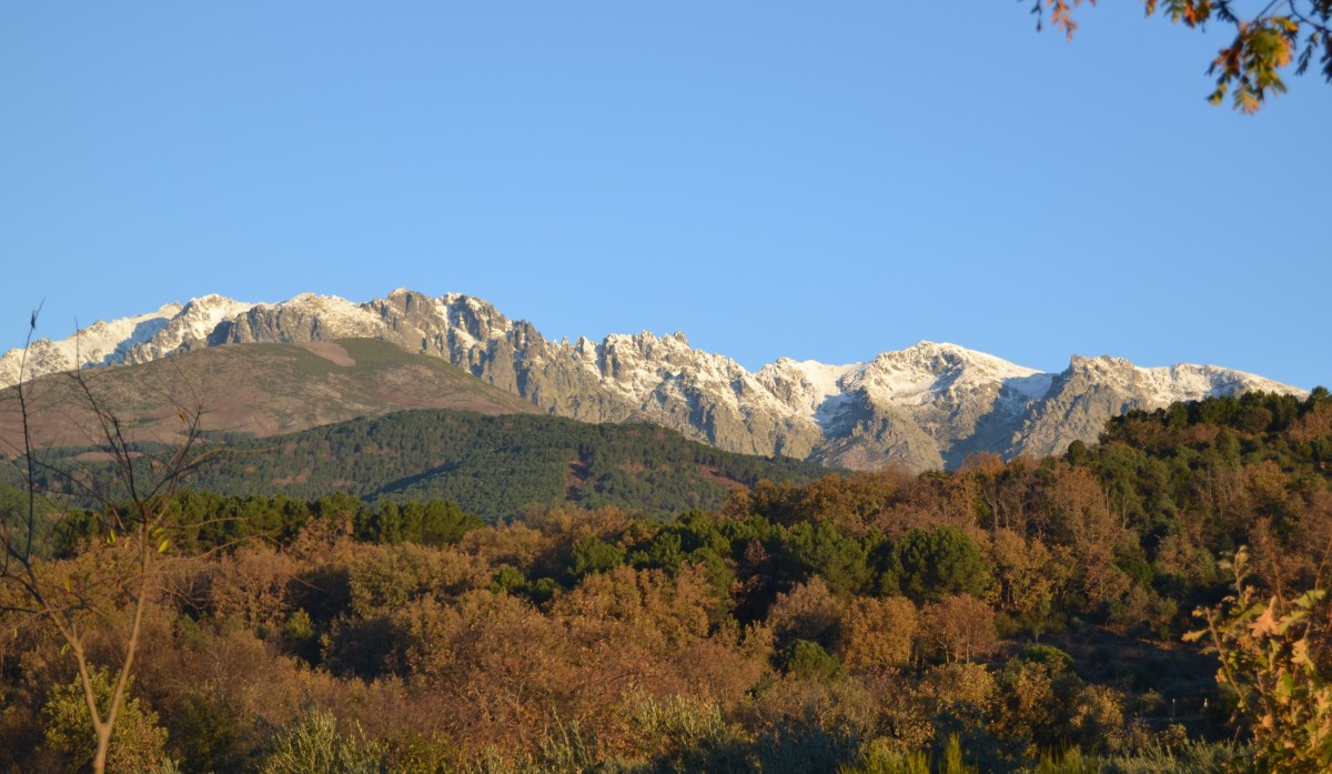 Candeleda