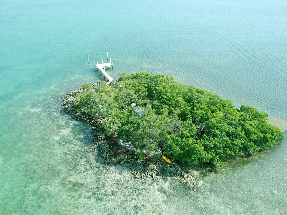 Dolphin Jump Key. Rent My Island dolphin-jump