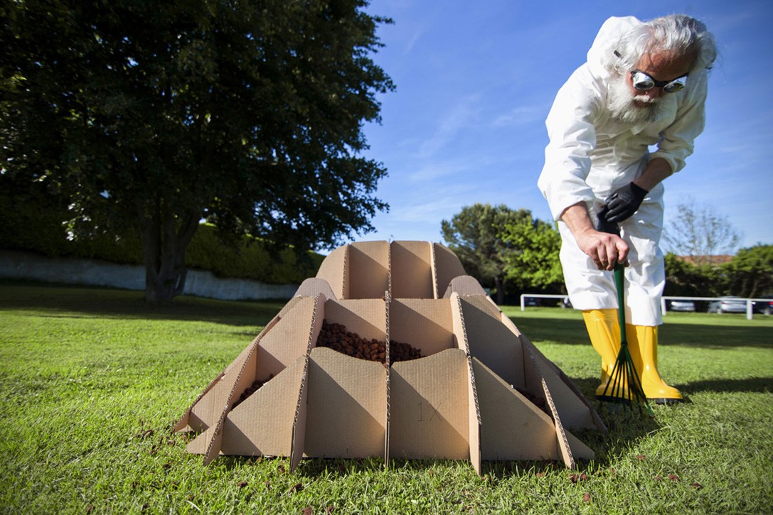 No compres sillas para tu jardín: cultívalas como si fueran plantas