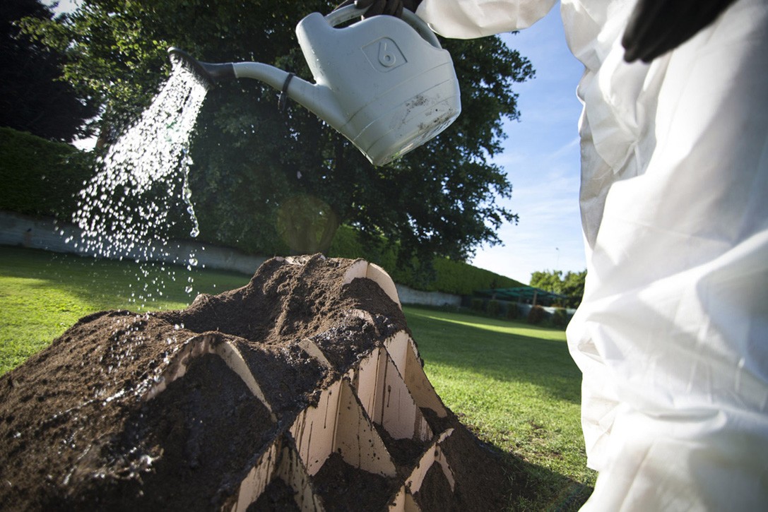 No compres sillas para tu jardín: cultívalas como si fueran plantas