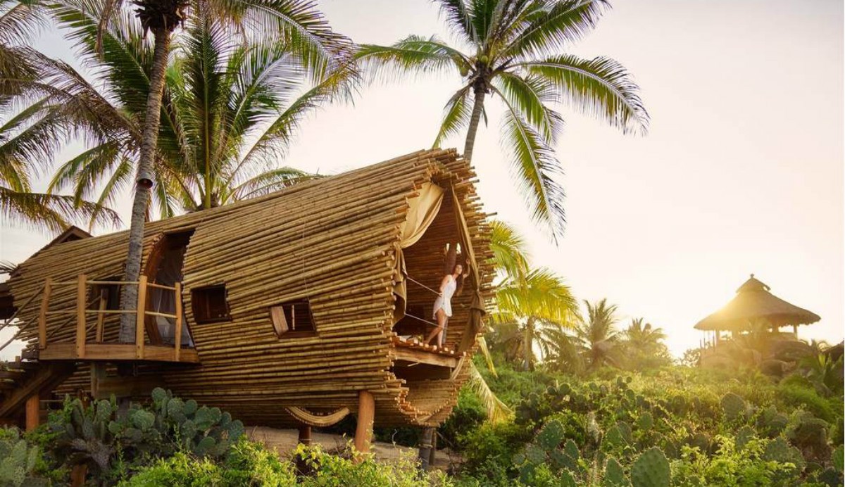 De vacaciones como un moderno Robinson Crusoe en una cabaña-árbol de bambú  y con energía solar — idealista/news