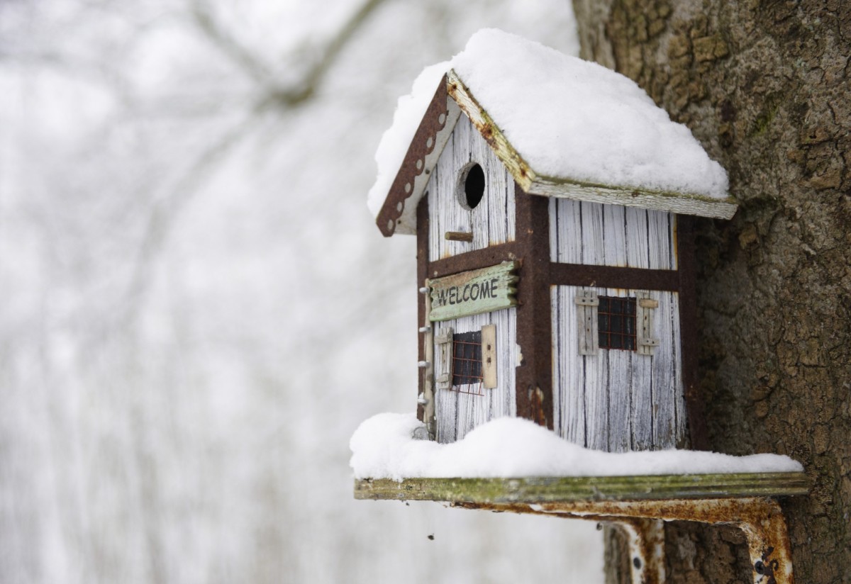 9. Consejos prácticos para aislarte del frío (y no gastar en calefacción) Decoración invernal: cómo preparar tu casa para los meses de frío