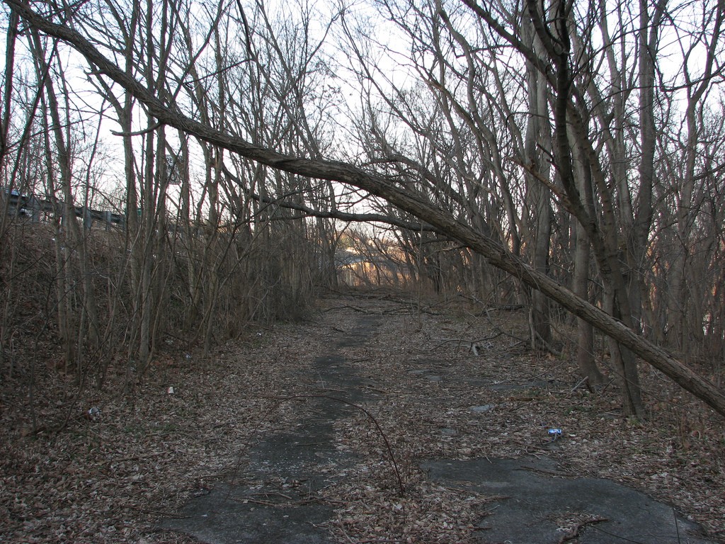 La salvaje belleza de las carreteras fantasma